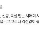 <b>결시</b>친 아줌마들 나이 똥꼬로 드셨나요?
