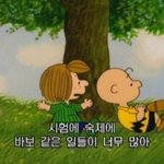 나 재수하는데 성적 마니 올랐다 <b>칭찬해조</b>
