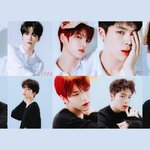 [모두드루와] 로드투 7그룹 모두다 스며든 팬들 다 일루와봐