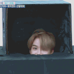 <b>강</b><b>쥐</b>보고가