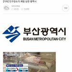 [드루와] 부산 인구 <b>감소</b>... 여초 반응 ㄷㄷㄷㄷㄷ