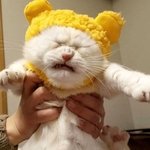생리통 <b>야발</b>ㅅ발