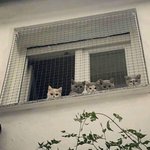 [댓글부탁해] 너네 <b>반팔</b>티 몇장이야?