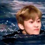 [NCT] 아기치타도 <b>수영</b>하나??