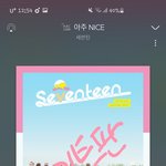 [세븐틴] 나는