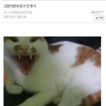 [댓글부탁해] 나 개빡치는 친구 이ㅛ음 ;;;;