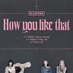 블랙핑크 <b>크레딧</b> 포스터