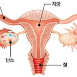 [19] <b>빛삭</b>