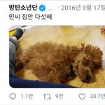 [방탄소년단] 민<b>홀리</b> 트윗 모아봄