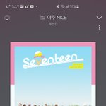 [세븐틴] <b>캐럿</b>들아