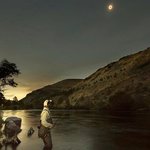 지나치기 아쉬운 감탄나올 사진들