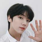 [모두드루와] 크래비티 킹덤에나올<b>확률</b>