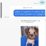 [댓글부탁해] 남친한테 사진 잘못 보냄 ㅅㅂ