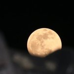 [드루와] 자기 과 <b>단점</b> 말하고 가자