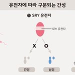 트렌스젠더가 <b>성소</b>수자중에서 법적으로 제일 보호 잘 받지 않냐?
