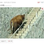 <b>중딩때</b> 댓글 단 꼬라지봐