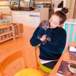 연예인들 반려견 근황ㅎㅎㅎ