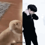 [방탄소년단] 너가 어떻게 그래 나한테 <b>어떠</b>케
