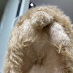 [19] 엉덩이 <b>빛삭</b>