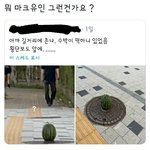 [NCT] <b>오웅</b> 횽 이게 모에요옹?