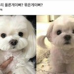 [방탄소년단] <b>누나</b> <b>누나</b> 나 이게 이뻐 이게 이뻐?