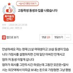 [19] 현재 <b>결시</b>친 톡선글 어케생각함?