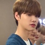 우리집 <b>말</b><b>티쥬</b>볼사람