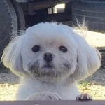 [ㄷㄹㅇ] 나 살 진짜많이 빠졌어ㅠㅠ!!!