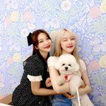 [댓글부탁해] <b>문이</b>과 선택 조언 부탈