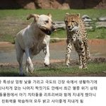 [댓글부탁해] 너넨 <b>인성</b> 터진 애들 어떻게 대해?