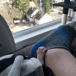 <b>오묘</b>하게 빠져드는 스핑크스 냥