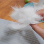 [이것좀봐줘] 얘들아 우리 <b>고영</b> 털 오진다