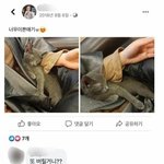[댓글부탁해] 니네 그 개훌룡 코비 <b>견주</b> 과거페북 봄??