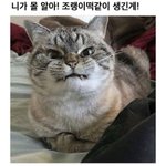 나만 사랑없는 결혼 하고싶냐