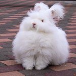 [NCT] 파생글 미안해) 팬톡에대해 툥프인 내 입장이야