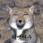 애드라 호텔리어 <b>전망</b> 어때?