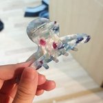 이<b>집게</b>핀에 어떤옷이 어울릴까??