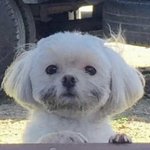 [댓글부탁해] 이거 김칫국 마셔도 되는거임??