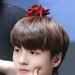 [19] 얘들아 제발 부탁이야 추반해주라 ㅠㅠ일주일안에 1-2키로...