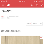 [NCT] 제노 고양이 천러