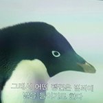[댓글부탁해] 피어싱 4만원 <b>지름</b>ㅎㅎㅎ
