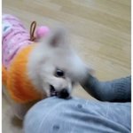 진짜 ㅈㄴ빡치네 고3인데 교복<b>잡음</b>