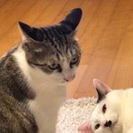 [NCT] 야 금욜;; 언제오냐