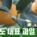 착하게 먹는 <b>김희원</b>