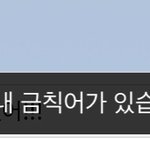 [NCT] 이게 왜 금칙어냐고