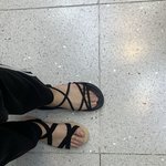 급해ㅠㅠㅠㅠㅠㅠ̑̈