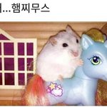 mbti np들 있자나