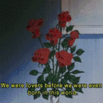 나 맨날 <b>루시드</b>드림 하는데