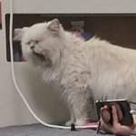 [드루와] <b>서초</b>초등학겨 나오면 잘사는거임?
