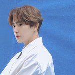 차라리 <b>밀정</b>이 맛잇겟노